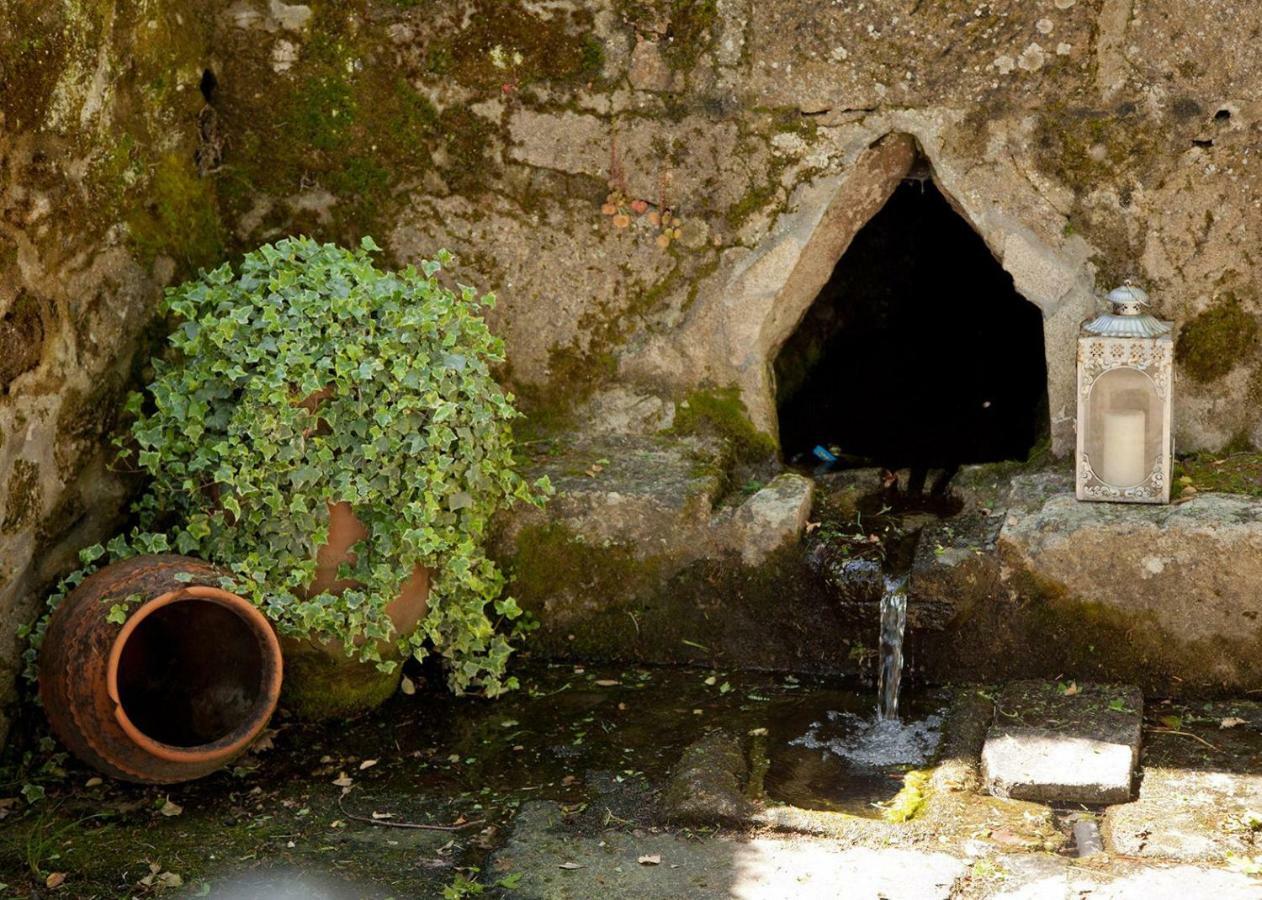 Jardines Pazo A Fabrica ξενώνας Celanova Εξωτερικό φωτογραφία