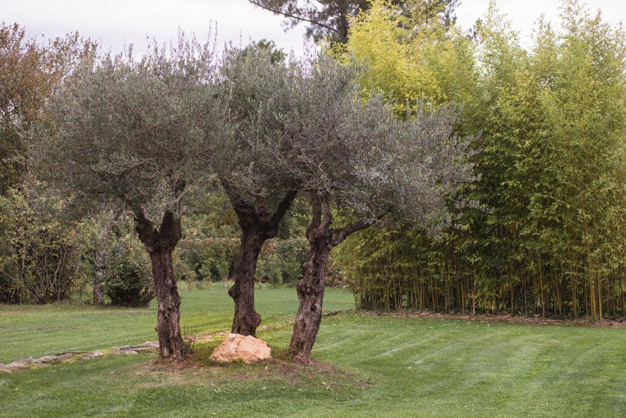 Jardines Pazo A Fabrica ξενώνας Celanova Εξωτερικό φωτογραφία